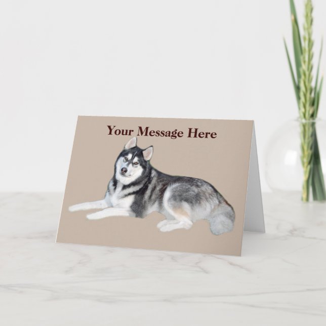 Sibérie Husky belle carte de voeux (Devant)