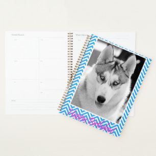 Sibérie Husky Chien Bleu Joyeux anniversaire