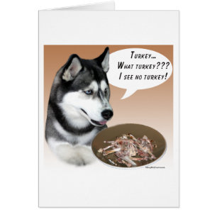 Sibérie Husky (noir) Turquie