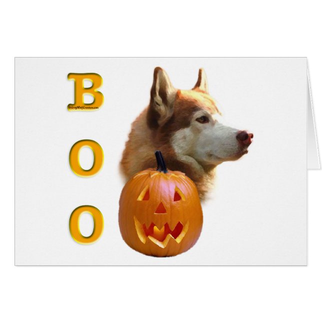 Sibérie Husky (rouge) Boo (Devant horizontal)