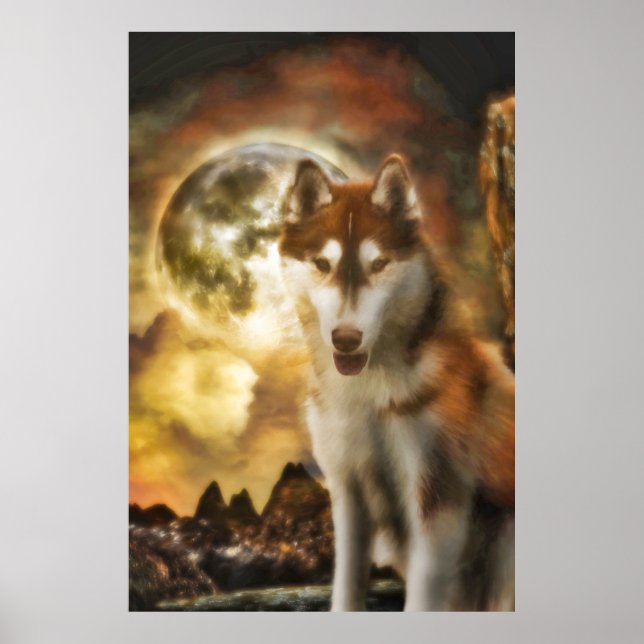 SIBÉRIEN HUSKY MOON KINGDOM POSTER (Devant)