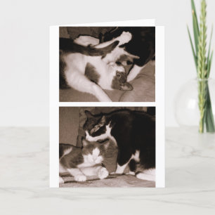 Siblings - Brothers & Sisters Card