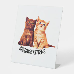 Siblings kittens, two cute cats pedestal sign