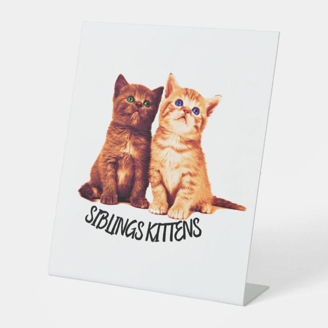 Siblings kittens, two cute cats pedestal sign (Front)