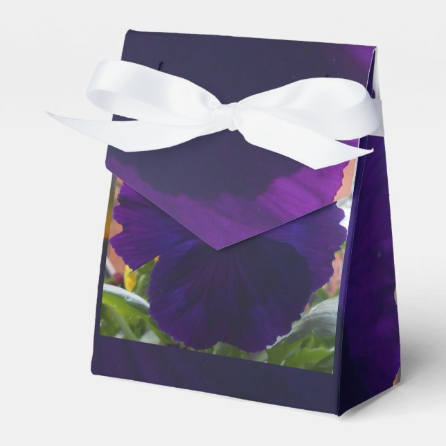 Sibylla Favor Box (Front Side)