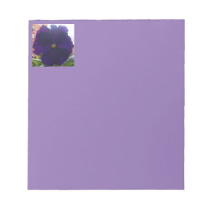 Sibylla Notepad