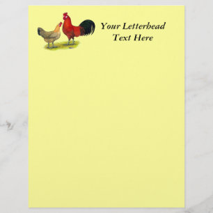 Sicilian Buttercup Chickens