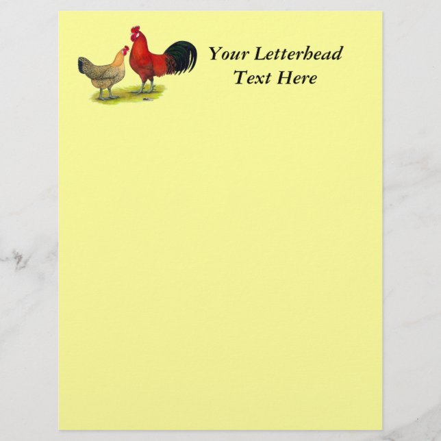 Sicilian Buttercup Chickens (Front)