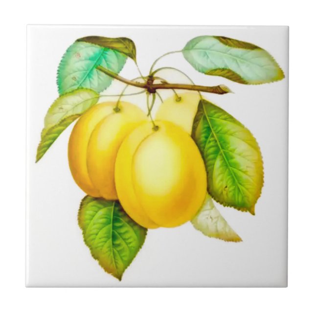 Sicilian style, Summer Art Fruit Yellow Plums Tile (Front)