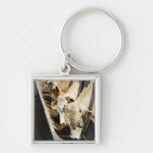 Sicily, Italy Keychain