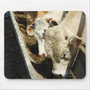 Sicily, Italy Mouse Pad