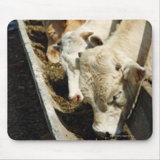 Sicily, Italy Mouse Pad