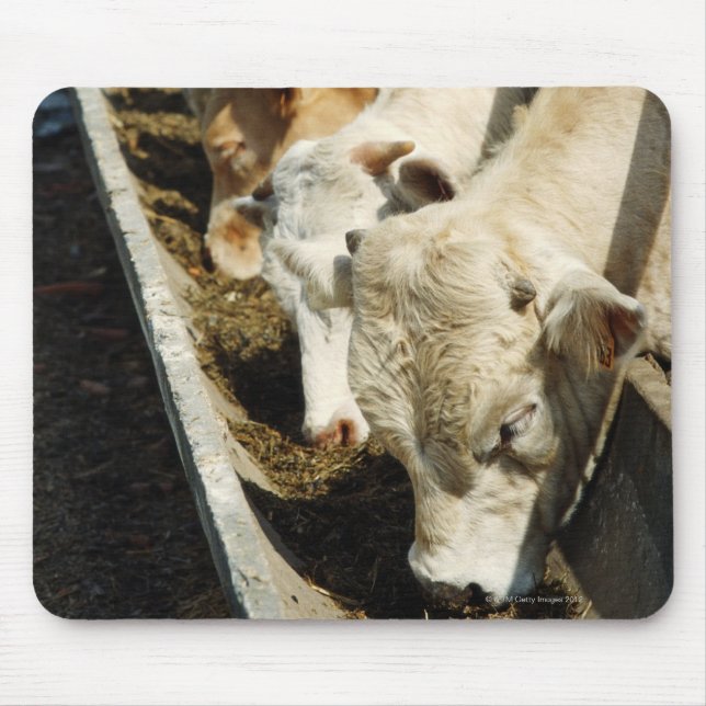 Sicily, Italy Mouse Pad (Front)