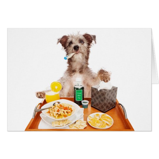 Sick as a Dog greeting card