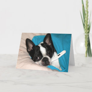 Sick Day Doggie Card