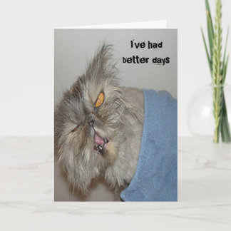 Sick kitty card