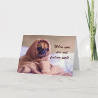 Sick Pug Dog, Sympathy, Humour.