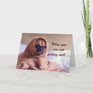 Sick Pug Dog, Sympathy, Humour. Card