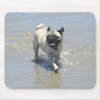Sid the Pug at Dog Beach, San Diego, CA Mouse Pad
