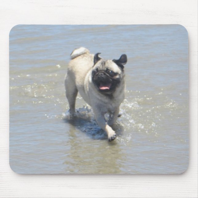 Sid the Pug at Dog Beach, San Diego, CA Mouse Pad (Front)