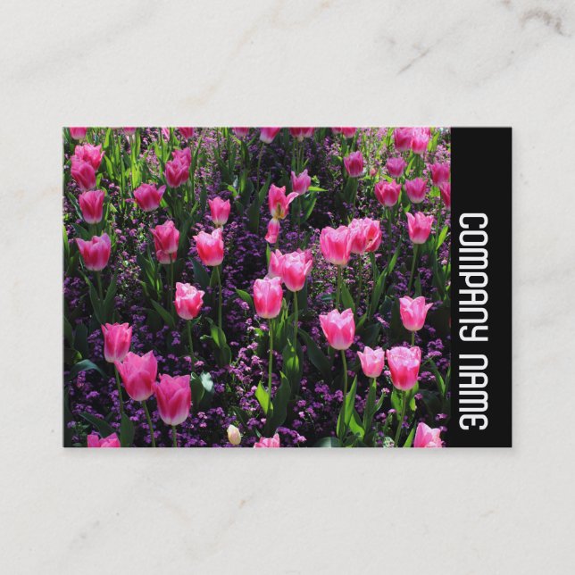 Side Band - Bed of Pink Tulips Business Card (Front)