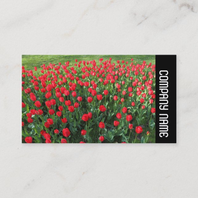 Side Band - Bed of Red Tulips 01 Business Card (Front)