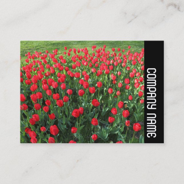 Side Band - Bed of Red Tulips 01 Business Card (Front)