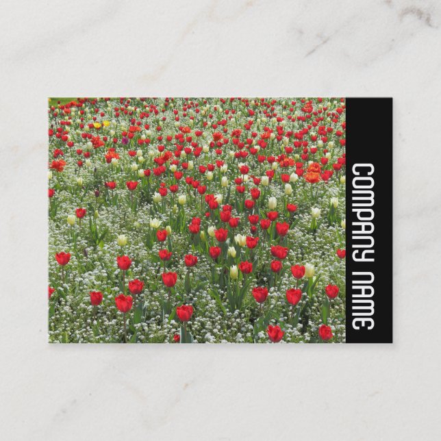 Side Band - Bed of Tulips Business Card (Front)