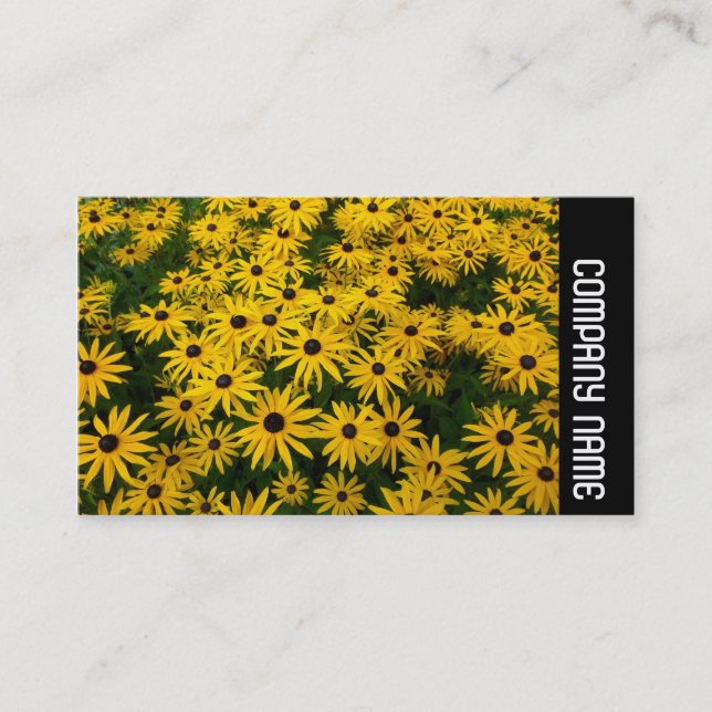 Side Band - Black-eyed Susans (Rudbeckia Hirta) Business Card (Front)
