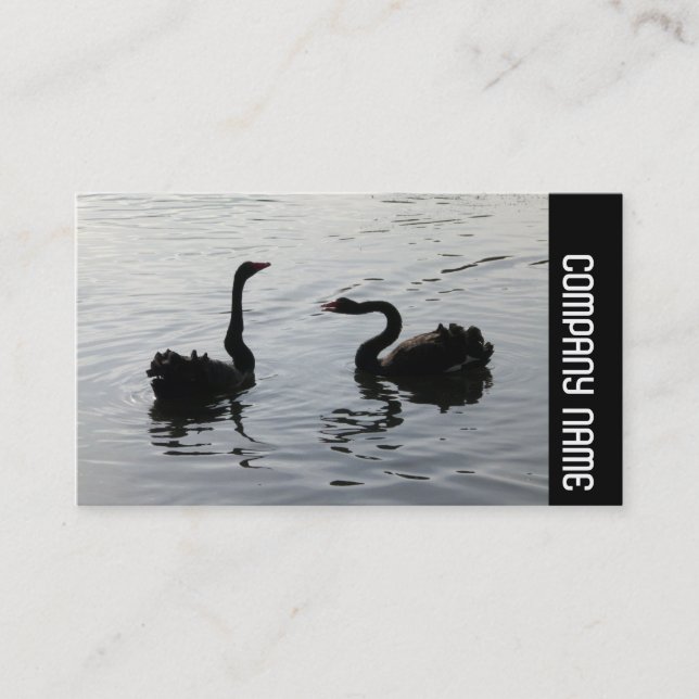 Side Band - Black Swans Greeting Business Card (Front)