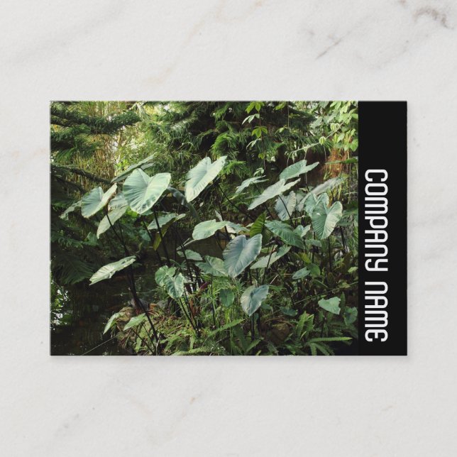 Side Band - Botanical Gardens Business Card (Front)