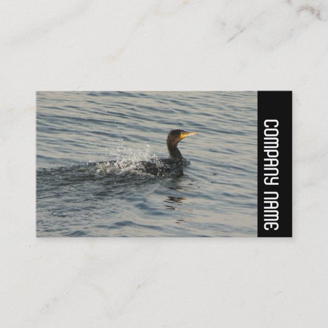 Side Band - Cormorant Learning to Swim Business Card (Front)