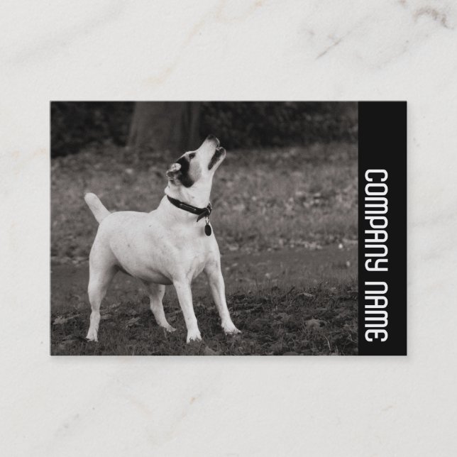 Side Band - Dog Business Card (Front)
