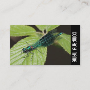 Side Band - Dragonfly Business Card