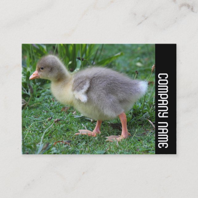 Side Band - Gosling 02 Business Card (Front)