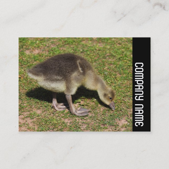 Side Band - Gosling Business Card (Front)