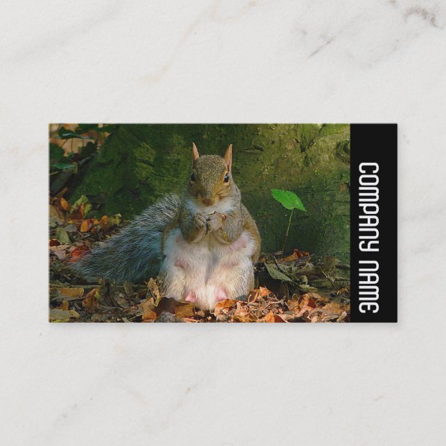 Side Band - Grey Squirrel Business Card (Front)