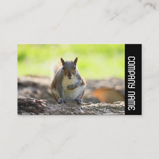 Side Band -  Grey Squirrel Business Card (Front)