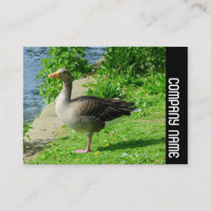 Side Band - Greylag Goose Business Card