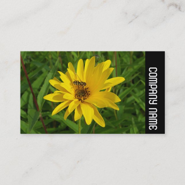 Side Band - Hover Fly on a Yellow Chrysanthemum Business Card (Front)