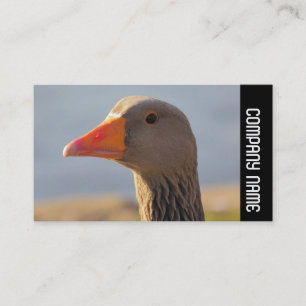 Side Band - Inquisitive Greylag Goose Business Card