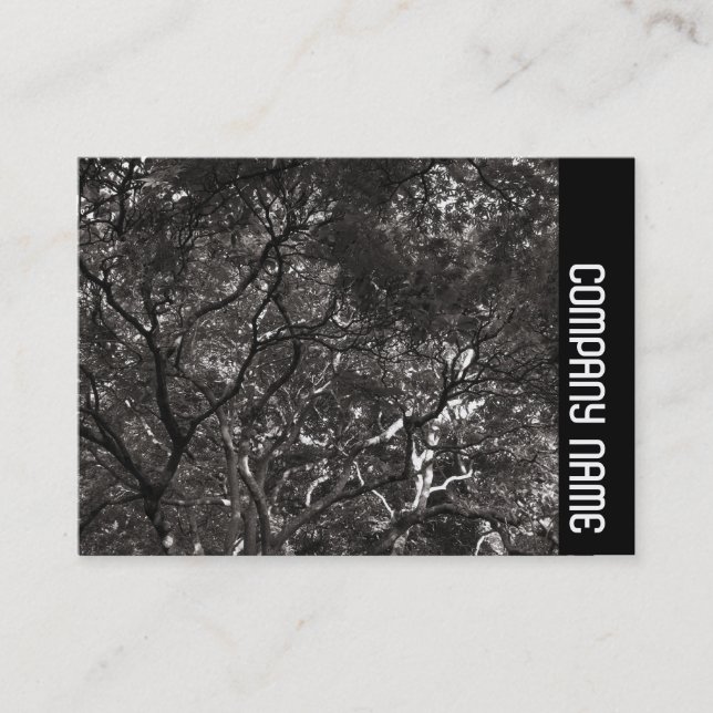 Side Band - Japanese Branches 01 Business Card (Front)