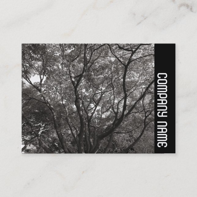 Side Band - Japanese Branches 02 Business Card (Front)