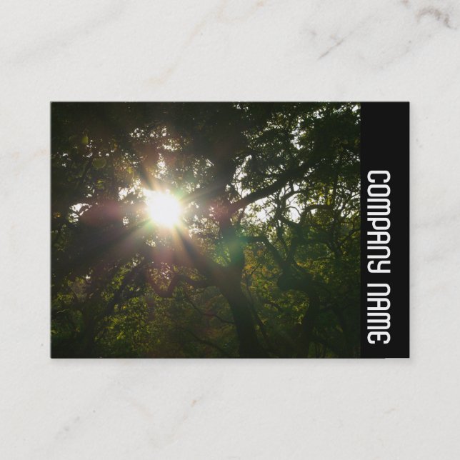 Side Band - Japanese Branches 07 Business Card (Front)