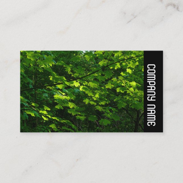 Side Band - Leaves in Spring Business Card (Front)