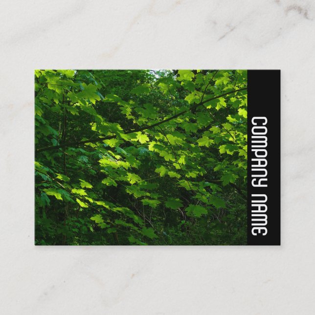 Side Band - Leaves of Spring Business Card (Front)