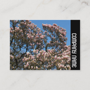 Side Band - Magnolia Tree in Bloom Business Card