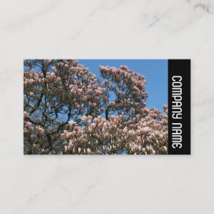 Side Band - Magnolia Tree in Bloom Business Card