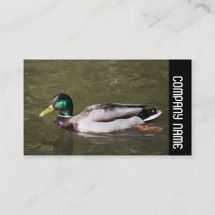 Side Band - Mallard Duck Business Card