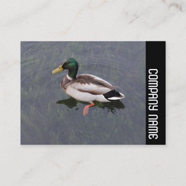 Side Band - Mallard Duck Business Card (Front)
